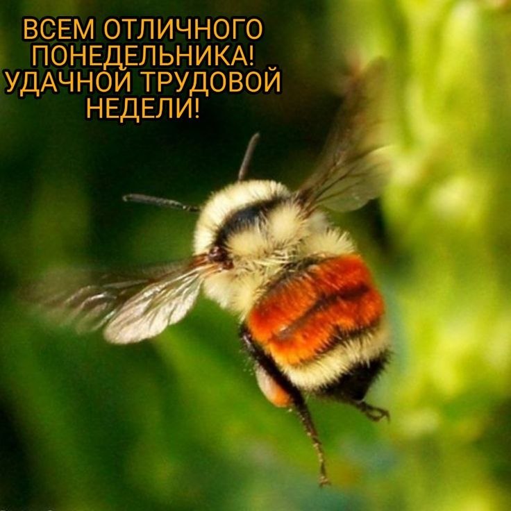 :)