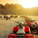 ���� �����, ����, 42 ���� - ��������� 13 ������� 2026 � ������ ���� ����������