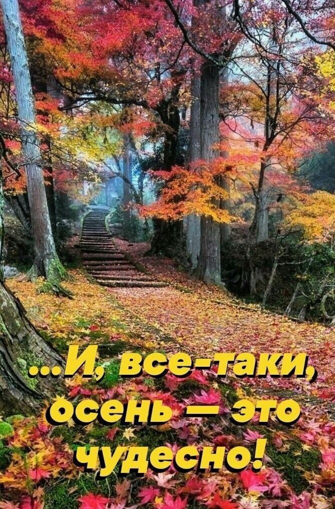   ! - 17  2025  17:41
