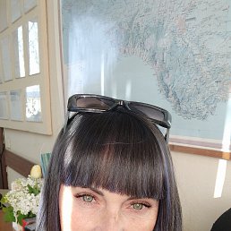 , 53, 