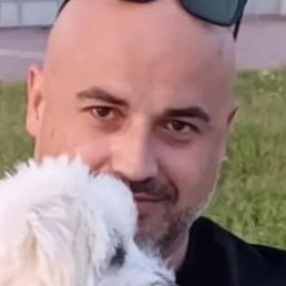 �����, ������������, 40 ���