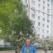 , 50 , 