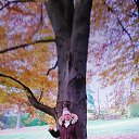 ���� Inga-sergeewna, ������ - ��������� 14 ������ 2025 � ������ �hund�