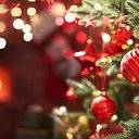 ���� �������, �����������, 41 ��� - ��������� 10 ������� 2026