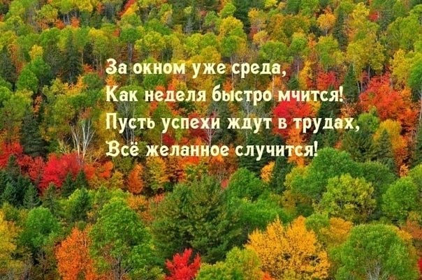 ПРИВЕТСТВИЯ и ПОЖЕЛАНИЯ, открытки на каждый день. - 14 октября 2025 в 22:03