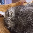 ���� ����, ����, 61 ��� - ��������� 16 ����� 2024 � ������ ���� ����������