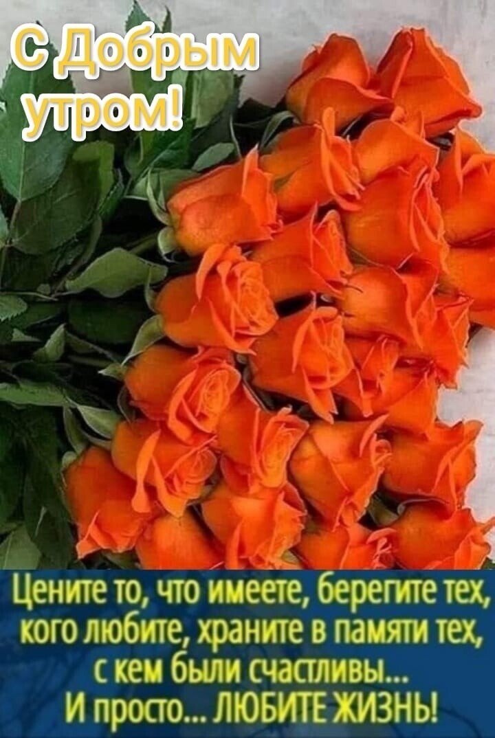   - 18  2024  02:38
