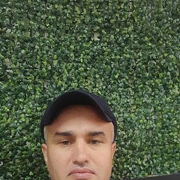, 39 , 