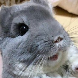 ����, ������, 30 ���