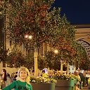 ���� �����, ������ - ��������� 13 ������� 2024 � ������ ���� ����������