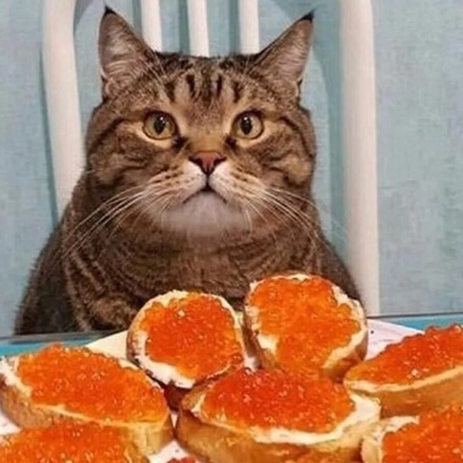     ,     ,    ,   ...