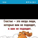 ���� �������, �����������, 66 ��� - ��������� 8 �������� 2024 � ������ ���� ����������