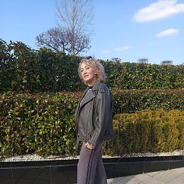 ��������, ���������, 56 ���