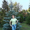 ���� �����, ������, 55 ��� - ��������� 28 ������ 2026 � ������ ���� ����������