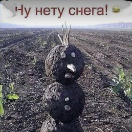 �������, ������, 50 ���