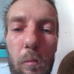 , 37, 