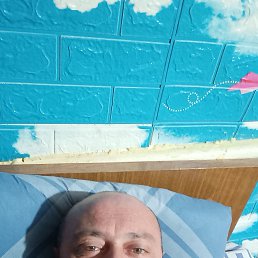, 40 , 