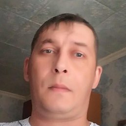 �����, �������, 41 ���