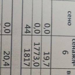 �����, ������ ��������, 48 ���