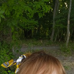 , 39 , 