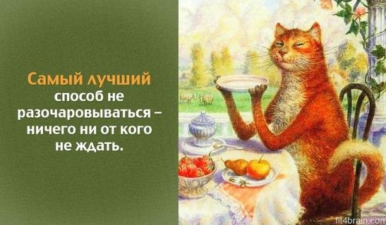������� ����� ������� ������ - 2 ���� 2026 � 19:21