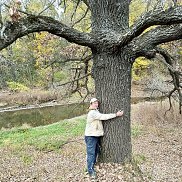 ������, 63 ����, ������