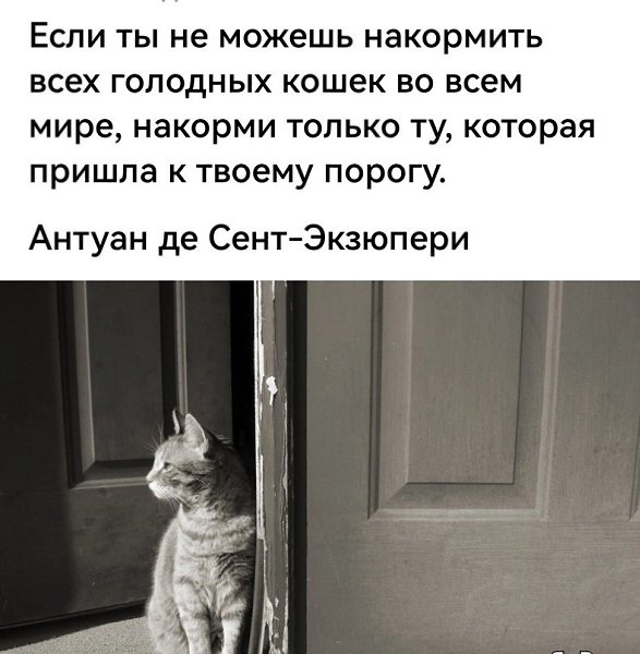   - 12  2024  16:48