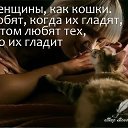 ���� ��������, ������, 53 ���� - ��������� 13 ����� 2026 � ������ ������ ��������