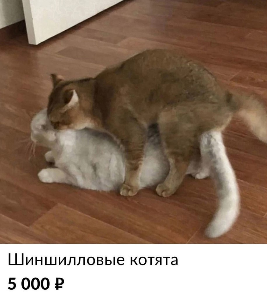 ,   ...