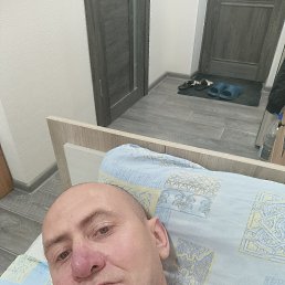 , 41, 
