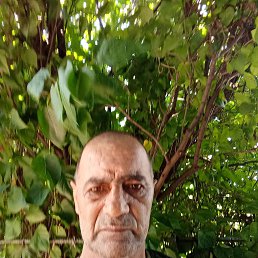 , 55, 