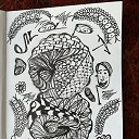 ��� �������. �� ������� ���� ����������