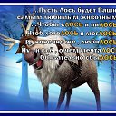 ���� ������, ������������ - ��������� 28 ����� 2026 � ������ ������ ��������