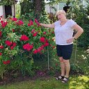 ���� �������, ���������, 54 ���� - ��������� 6 ����� 2026