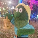 ���� ������, ����� - ��������� 11 ������� 2025 � ������ ���� ����������