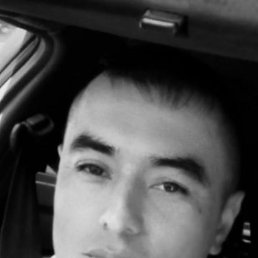 , 37, 