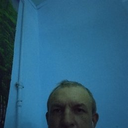 , 53 , 