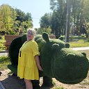 ���� ����, �������, 58 ��� - ��������� 7 ������ 2026 � ������ ���� ����������