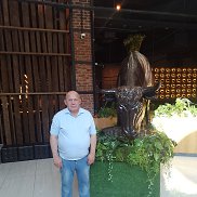 , 61 , 
