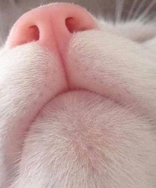    :3 - 2