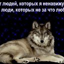 ���� ���������, �������� - ��������� 14 ������ 2026