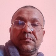  , 51 , 