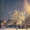 ���� Ը���, ����, 73 ���� - ��������� 23 ������ 2024 � ������ ������ ��������