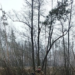 ������, ������, 36 ���