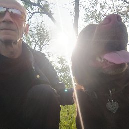 , 62, 