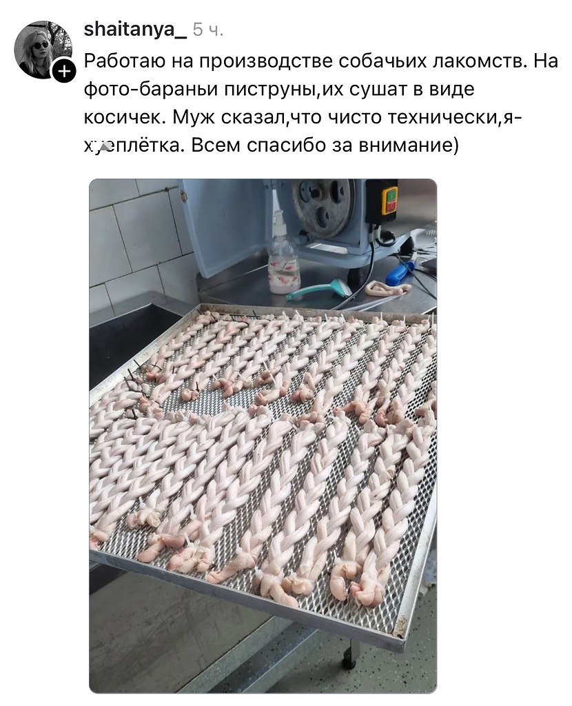 ��� � ������� � ��������