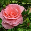  , , 53  -  14  2025   !!!!!!!!!!