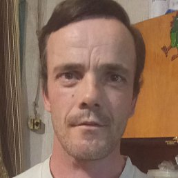 �����, ������, 41 ���