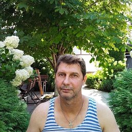 , 50 , 