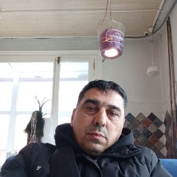 , 48, 